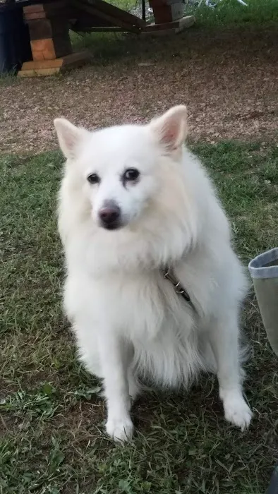 PIECE OF HEAVEN CAMPROUND Picture 4