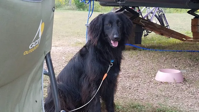 PIECE OF HEAVEN CAMPROUND Picture 5