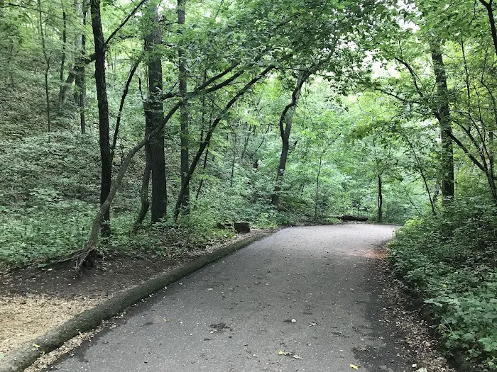 Willow River State Park Campground Picture 7