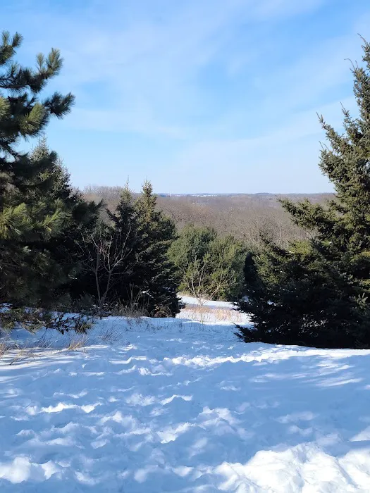 Swanson Lodge Picture 2