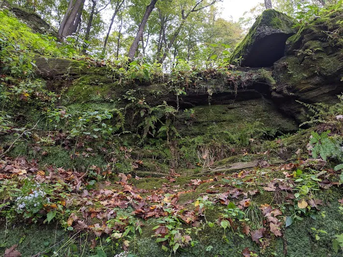 Fred C. Andersen Scout Camp Picture 4