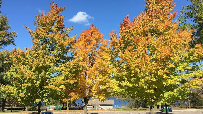 Cleary Lake Regional Park Campground Picture 2