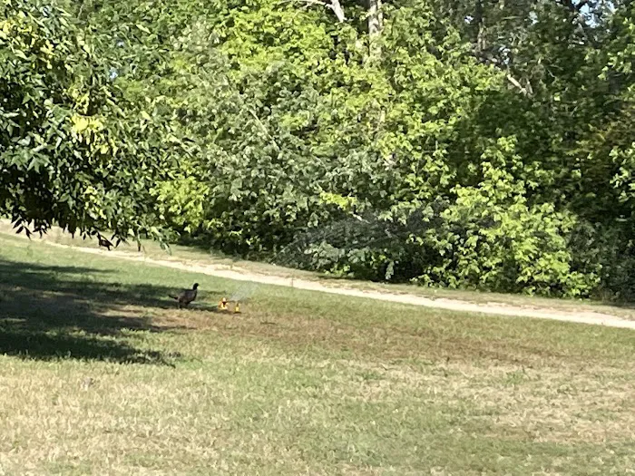 Fish Lake Acres Campground Picture 6