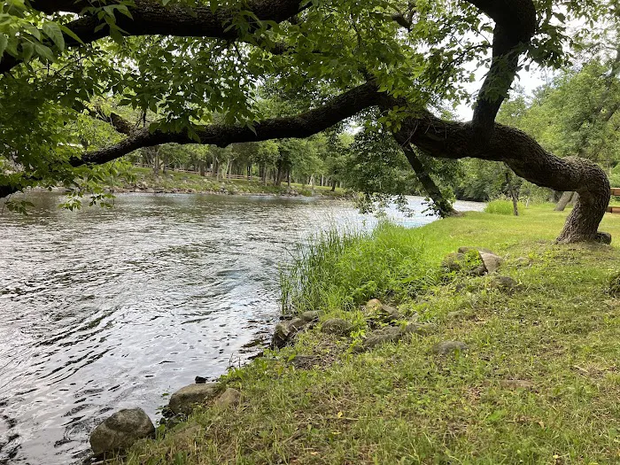 Apple River Family Campground Picture 3