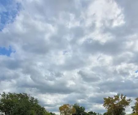 Winjum's Shady Acres Resort