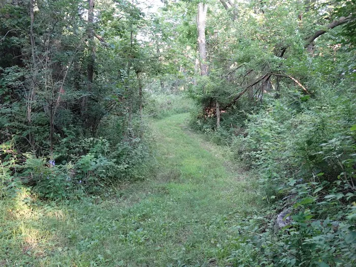 Timber Calls RV Campground Picture 8