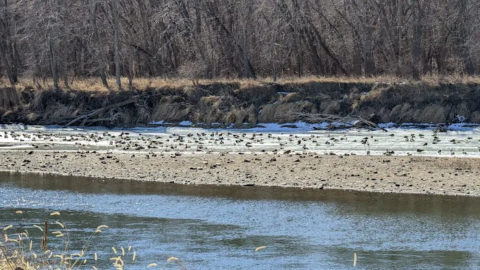 River view camping Picture 9