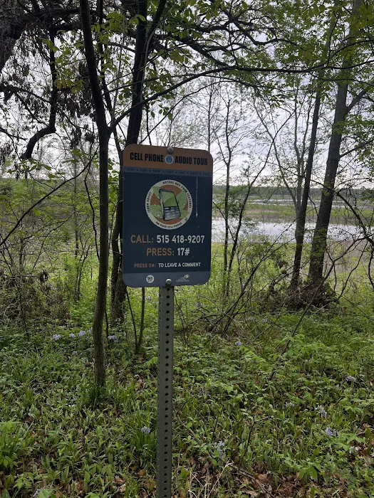 River view camping Picture 4