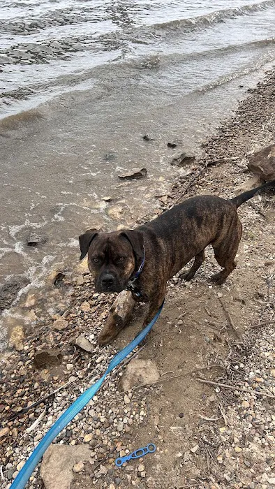 River view camping Picture 6