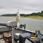 North Overlook Campground