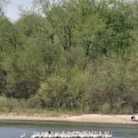 Howell Station Campground - Lake Red Rock ico