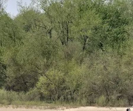 Howell Station Campground - Lake Red Rock