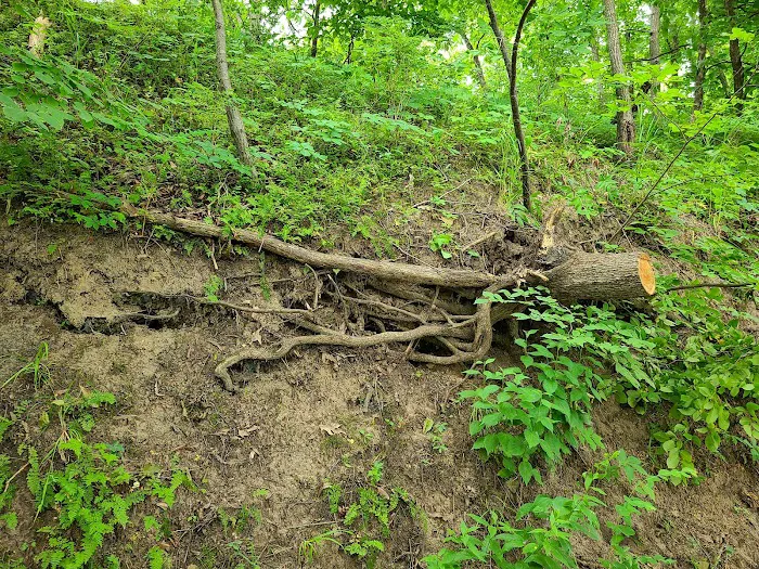 Ivan's Recreation Area Picture 1