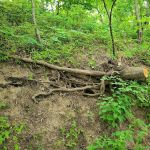 Ivan's Recreation Area