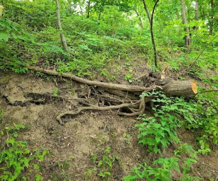 Ivan's Recreation Area