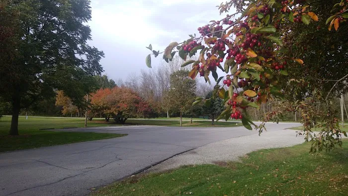 Ivan's Recreation Area Picture 4