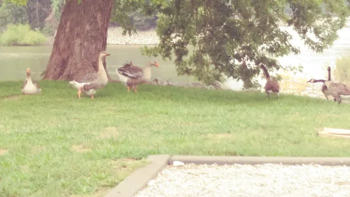 Ivan's Recreation Area Picture 10