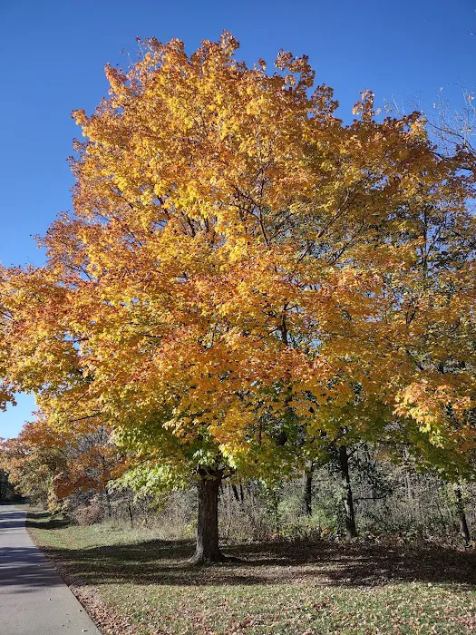 Marion County Park Picture 8