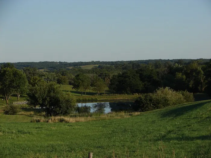 Pickard Park Campground Picture 1