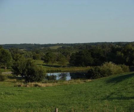 Pickard Park Campground