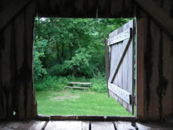Eveland Access Campground Picture 9