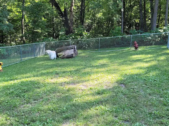 Timberline Campground Picture 3