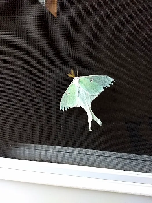 Sawmill Campground Picture 8