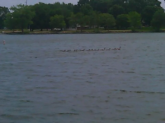 Kearny Park Campground Picture 2