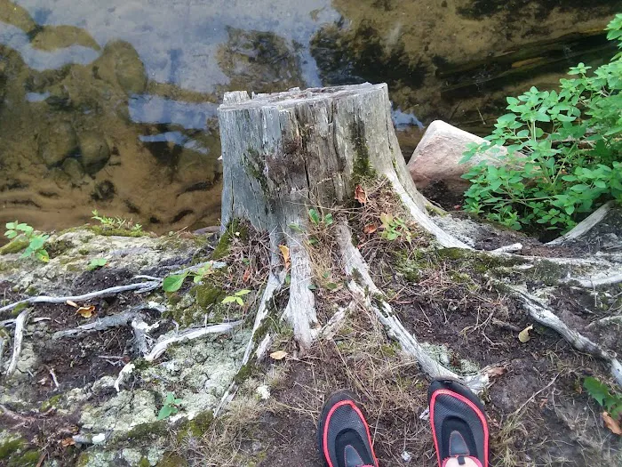 North Shore Campground Picture 7