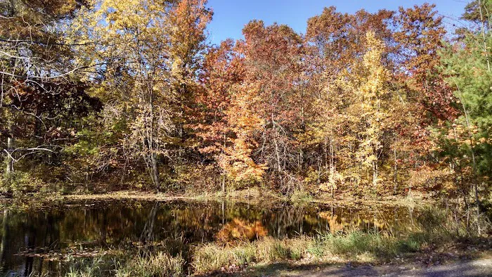 Lake Chippewa Campground Picture 9