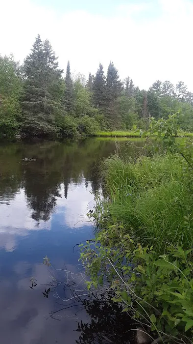 Couderay River Campground Picture 3