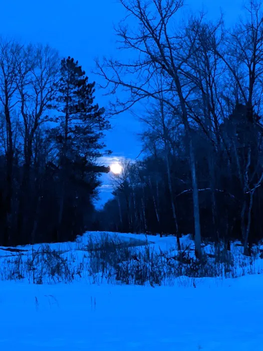 Couderay River Campground Picture 1