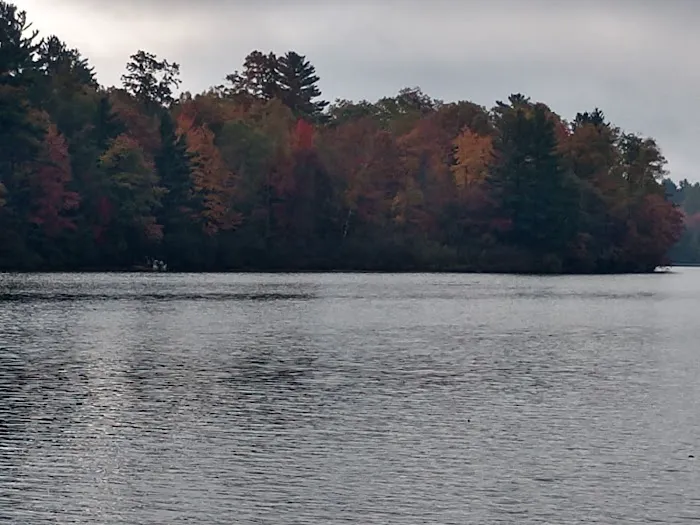 Upper Gresham Lake State Forest Campground Picture 4