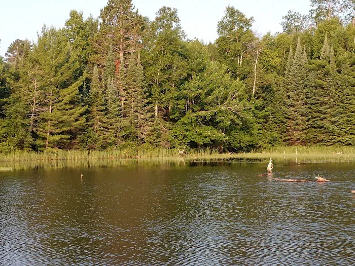 Island Lake Campsite Picture 5