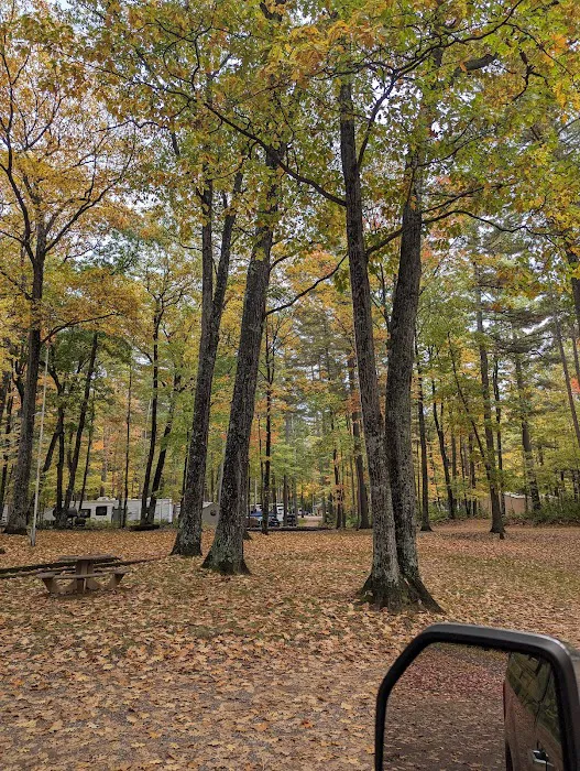 Camp Holiday Campground Picture 4