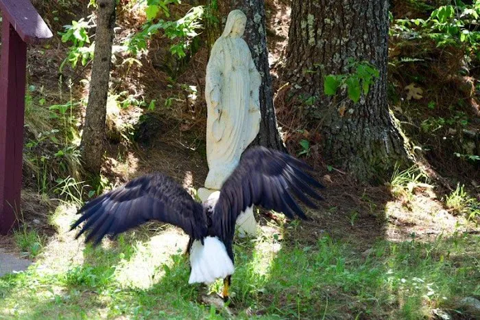 Red Feather Lodge Picture 4