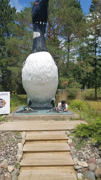 Loon Lagoon Picture 10