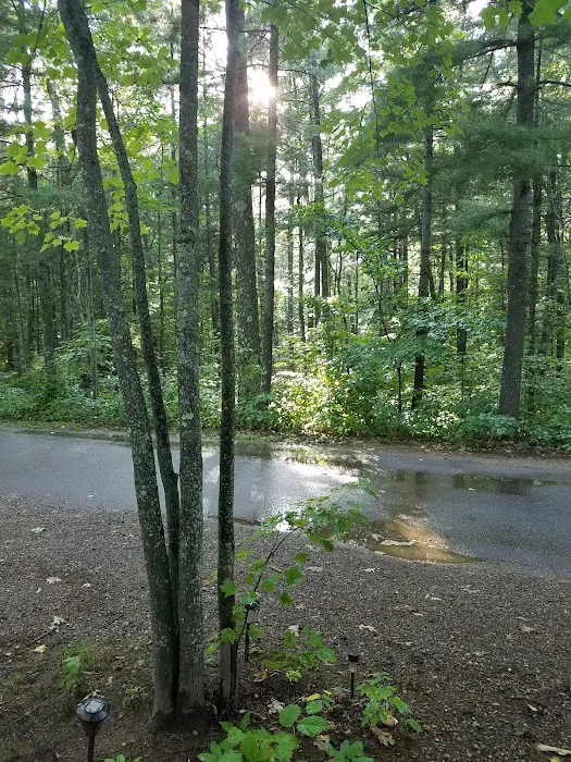 Big Lake Campground Picture 6