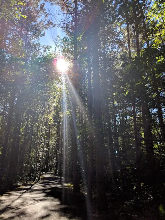 Birchwood Campground Picture 1