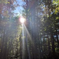 Birchwood Campground ico