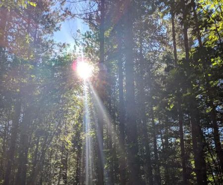 Birchwood Campground