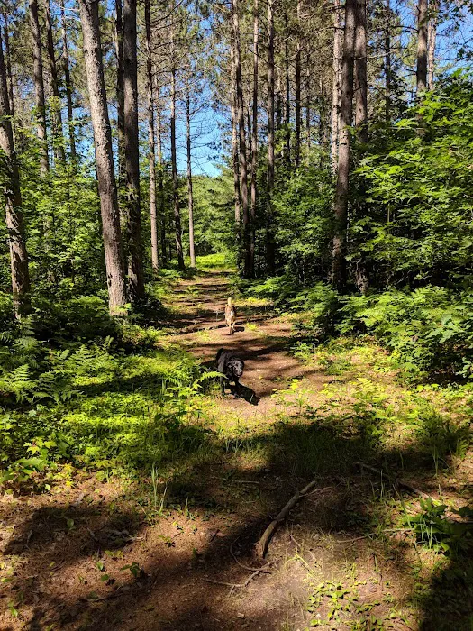 Birchwood Campground Picture 5