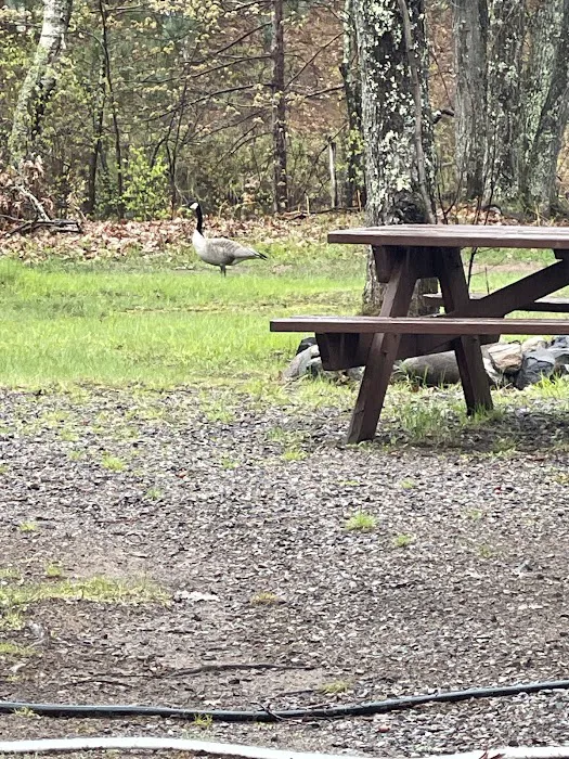 Birchwood Campground Picture 4