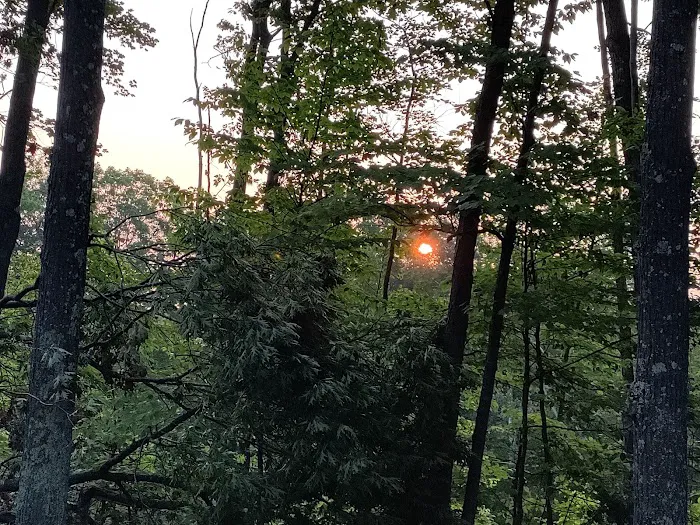 Birchwood Campground Picture 6