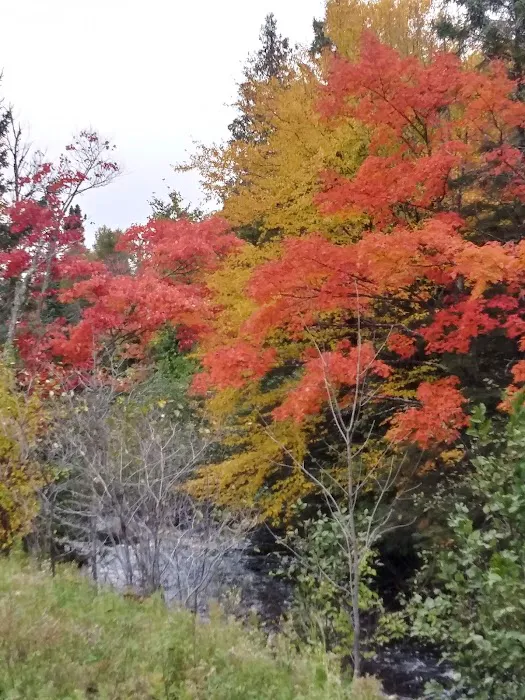 Schomberg County Park Campground Picture 6