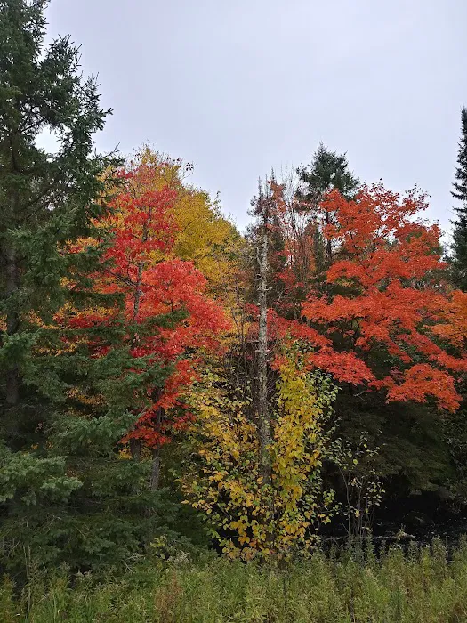 Schomberg County Park Campground Picture 7