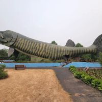 Northern Lure Resort & Campground LLC ico