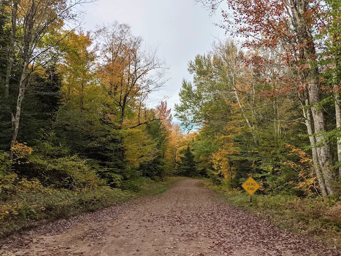 East Twin Lake Campground Picture 6