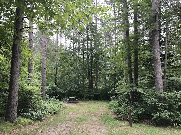 Day Lake Campground Picture 1