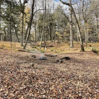 Eagle Campground ico